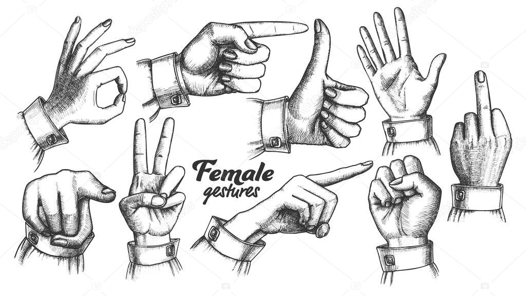 Multiple Female Caucasian Hand Gesture Set Vector