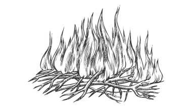 Traditional Burning Camping Fire Monochrome Vector vector Traditional Burning Camping Fire Monochrome Vector vector