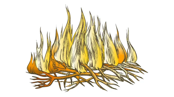 Hagyományos Burning Camping tűz színes Vector — Stock Vector
