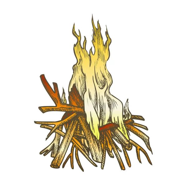 Torch Tall Handmade Wood Burning Stick Color Vector