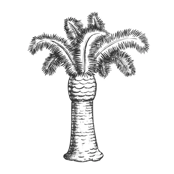 Palm Coastline Árbol tropical Vector monocromático — Vector de stock