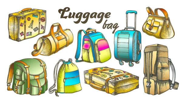 Luggage Collection Color Set Vector — Stock Vector