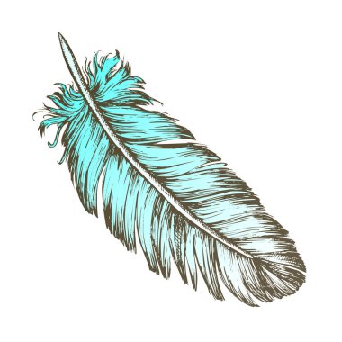 Color Lost Bird Outer Element Feather Sketch Vector clipart
