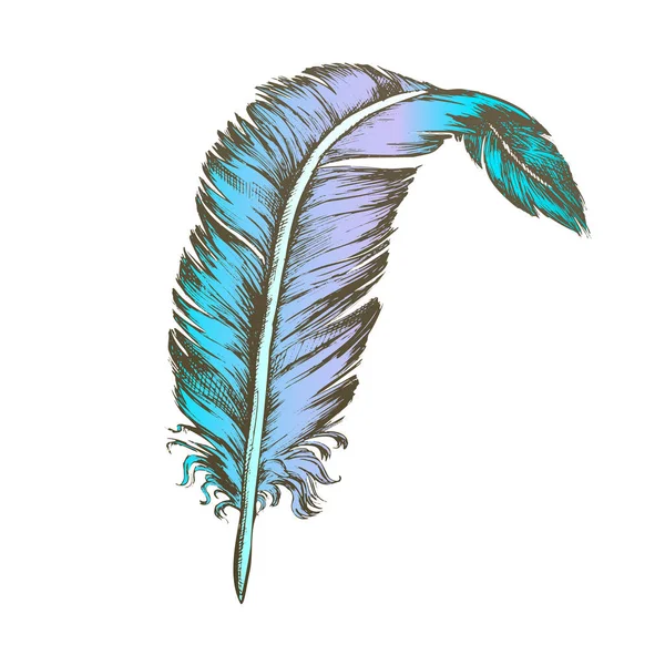 Color decorativo pájaro elemento pluma Vintage Vector — Archivo Imágenes Vectoriales
