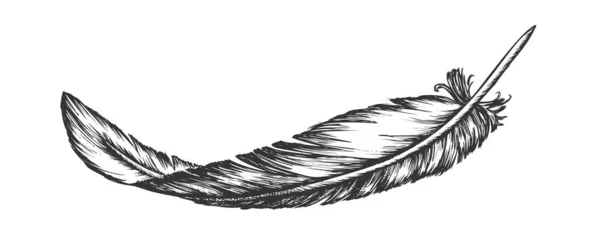 Zagubiony element zewnętrzny ptaków Pióro ręcznie rysowane wektor — Wektor stockowy