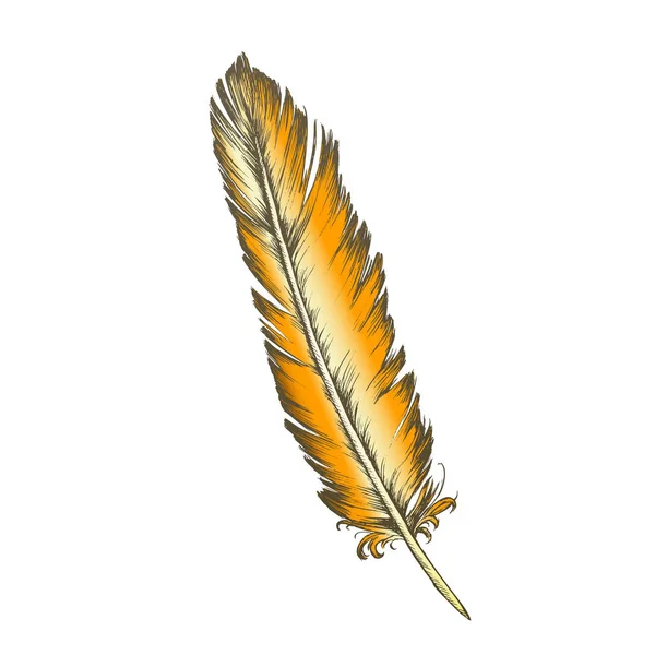 Color Decorative Bird Element Feather Monochrome Vector — Stock Vector