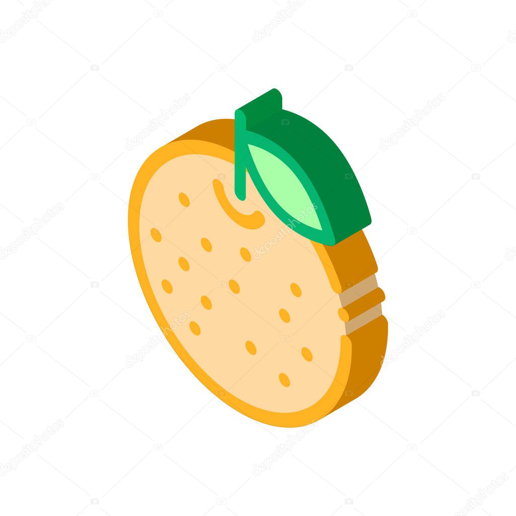 Orange Citrus Icon Vector. Isometric Orange Citrus sign. color isolated symbol illustration