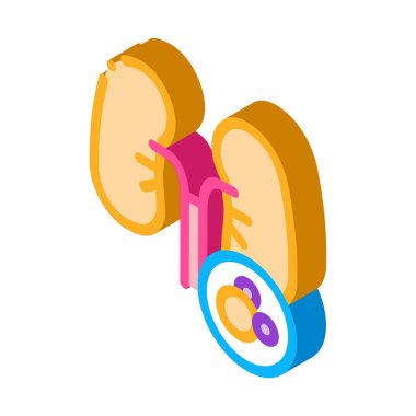 İnsan akciğerleri izometrik ikon vektör çizimi