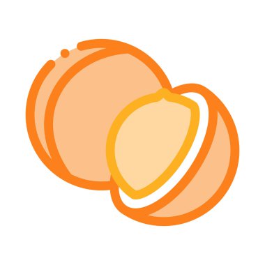 Macadamia fındık ikonu vektörü. Macadamia fındık tabelası. renk sembolü çizimi
