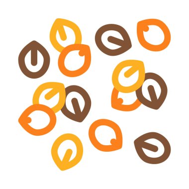 fındık tohumu ikon vektörü. Ceviz tohumu işareti. renk sembolü çizimi