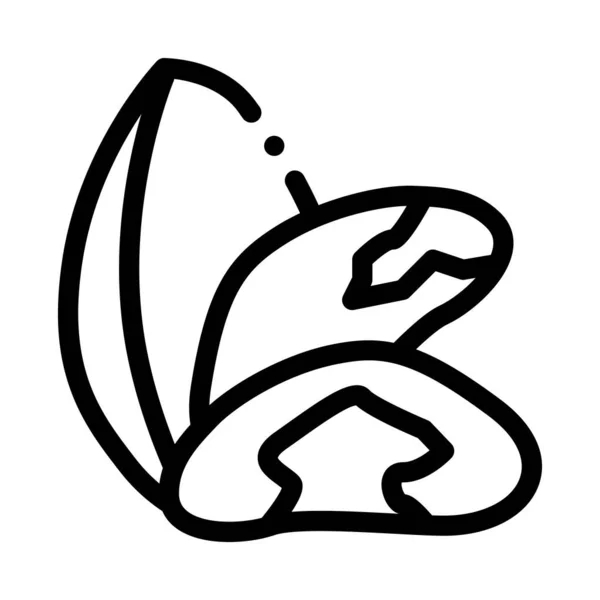 Vektor Ikony Brazilské Matice Brazilská Značka Ořechů Izolovaný Symbol Obrysu — Stockový vektor