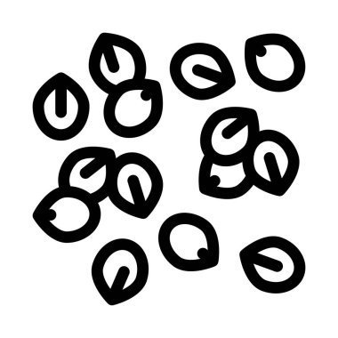 fındık tohumu ikon vektörü. Ceviz tohumu işareti. izole edilmiş sınır sembolü çizimi