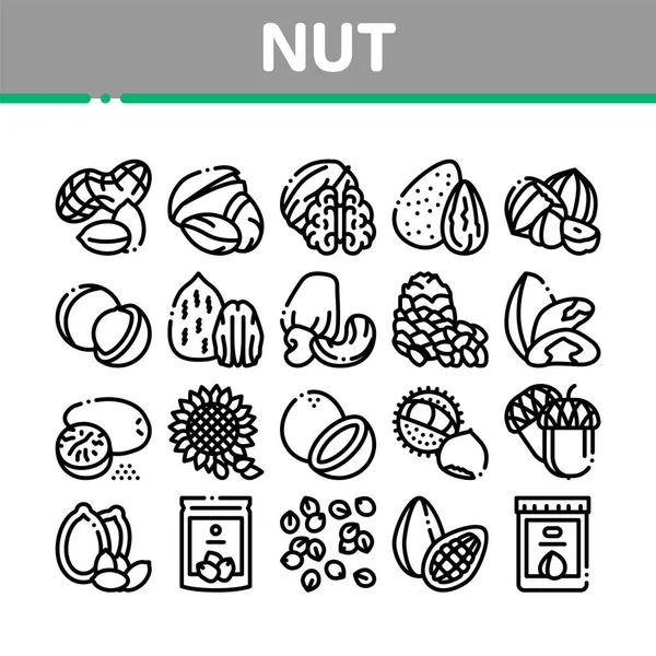 Nut Food Diferente Coleção Ícones Conjunto Vetor Amendoim Amêndoa Castanha — Vetor de Stock