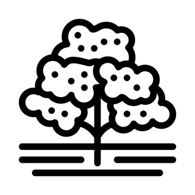 Kahve ağacı ikonu vektörü. Kahve ağacı tabelası. izole edilmiş sınır sembolü çizimi