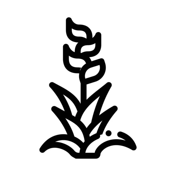 Egzotikus Virág Ikon Vektor Egzotikus Virág Jel Izolált Kontúr Szimbólum — Stock Vector