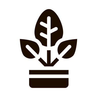 Bush Bitkisi Tencere Vektörü Simgesinde Gidiyor. Organik Kozmetik, Doğa Bileşeni Yaprak Piktogramı. Çevre dostu, Acımasız Ürün, Moleküler Analiz Çizimi