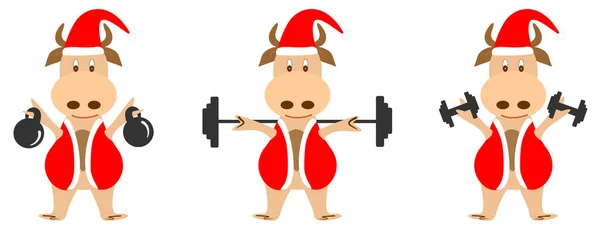 Set di immagini vettoriali di un toro in costume da Babbo Natale. Il toro fa sport e tiene pesi, manubri e un bilanciere sulle spalle — Vettoriale Stock