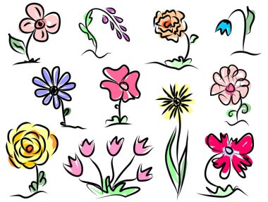 Bitkilerin temasında çok renkli vektör çizimi. Yaprakları ve yaprakları farklı olan çiçek çeşitleri. Botanik çizimi.