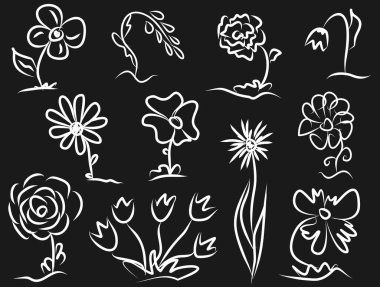 Bitkilerin temasında siyah ve beyaz vektör çizimi. Yaprakları ve yaprakları farklı olan çiçek çeşitleri. Botanik çizimi.