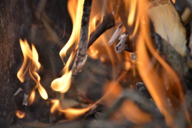 Kuru dallar, deadwood ve şöminede yanan günlükleri