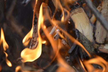 Kuru dallar, deadwood ve şöminede yanan günlükleri