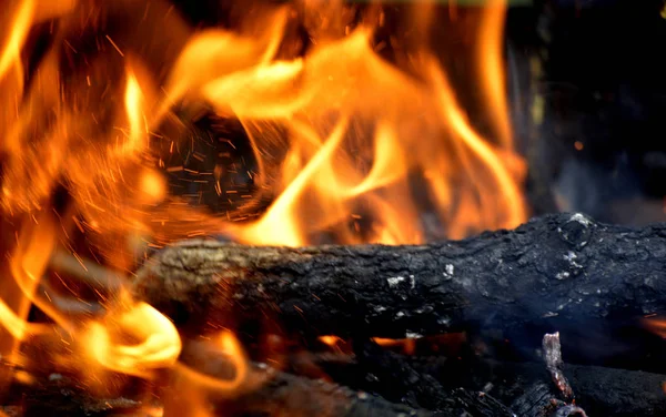 Kuru dallar, deadwood ve şöminede yanan günlükleri