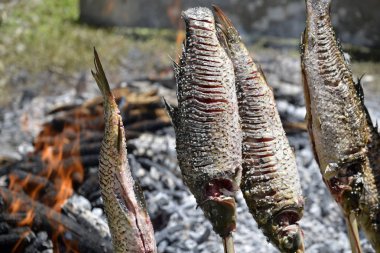 Carps bir şenlik ateşinde bir piknik içinde pişmiş olan
