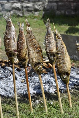 Carps bir şenlik ateşinde bir piknik içinde pişmiş olan