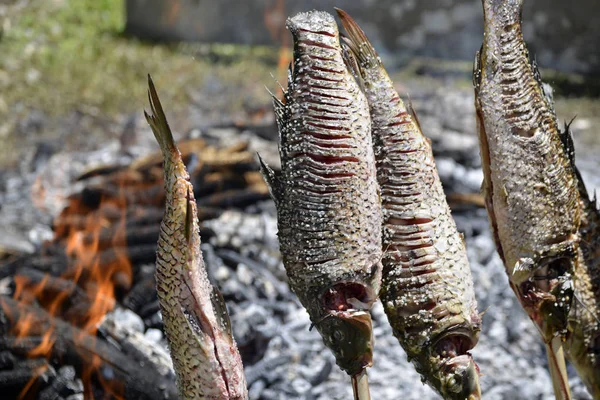Carps bir şenlik ateşinde bir piknik içinde pişmiş olan