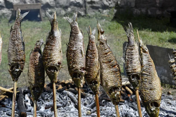 Carps bir şenlik ateşinde bir piknik içinde pişmiş olan