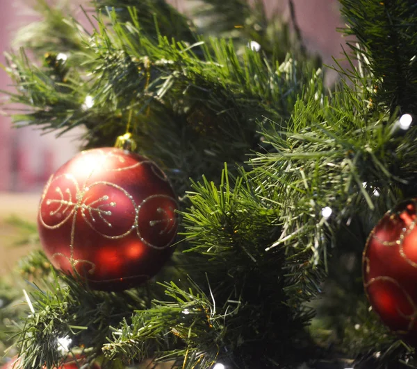 Decoração Vermelha Uma Árvore Natal Verde — Fotografia de Stock