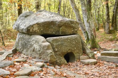 Sonbahar ormanında kiremitli dolmen. Dolmen grubu 