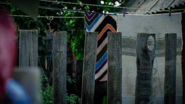 Ahşap bir çitin arkasında her şey kuruyor.