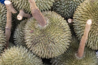 Bangkok, Tayland - 3 Mart 2020: Bangkok, Tayland 'da bir pazarda satılık Durian meyvesi