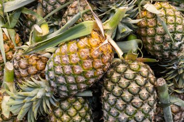 Bangkok, Tayland - 3 Mart 2020: Bangkok, Tayland 'da bir pazarda ananas satışı