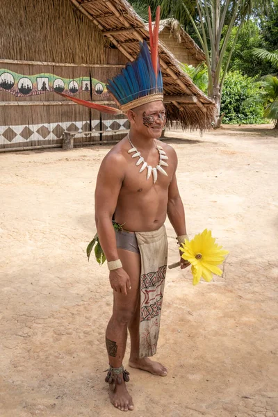 Comunidade Indígena Cidade Manaus Amazônia Perto Manaus — Fotografia de Stock