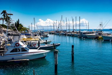 Güneşli bir günde Maui marinası
