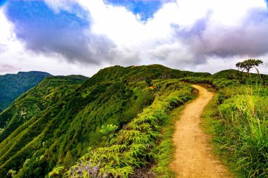 Maui 'deki dağın tepesinde yürüyüş izleri.
