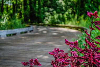 Çiçekler beraberinde golf sahasını da getirir