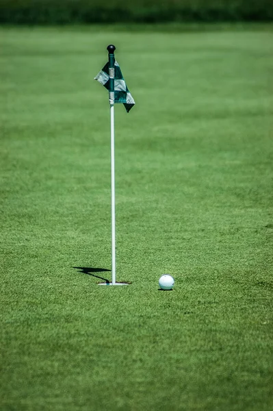 Pratique Verte Sur Terrain Golf — Photo