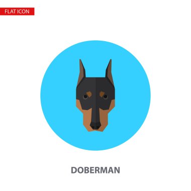 Doberman baş vektör turkuaz daire düz simgesi. Bu kullanılabilir logo, sembol, simge, Infographic öğesi olarak -.