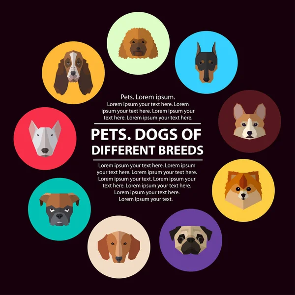 Hundeköpfe Verschiedener Rassen Vektor Illustrations Set Für Ihr Niedliches Design — Stockvektor