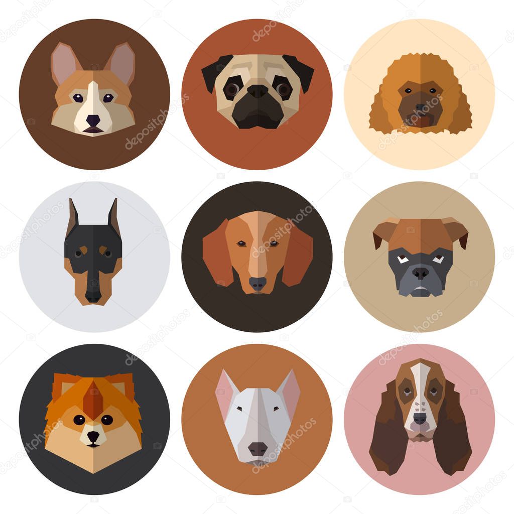 Dogs heads of different breeds. Vector illustration set for your cute design.