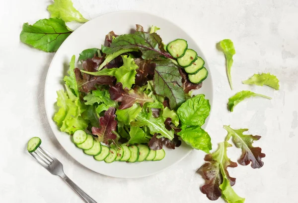 Um prato com folhas de salada verde, sementes de gergelim e fatias de pepino, um garfo à esquerda, sobre um fundo cinza claro — Fotografia de Stock