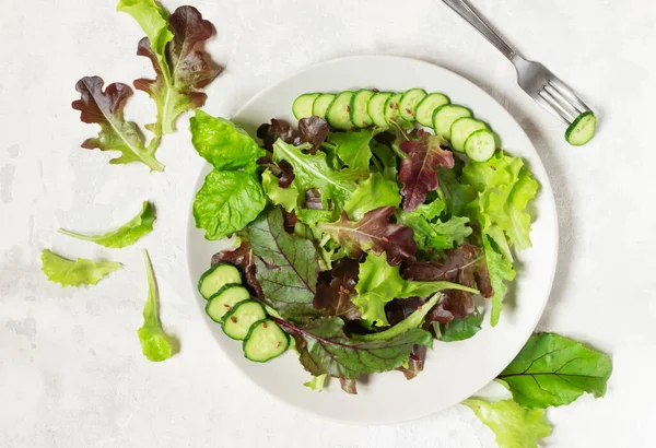 A plate with green salad leaves, sesame seeds and cucumber slices, a fork on the right, on a light grey background — Stock Image A plate with green salad leaves, sesame seeds and cucumber slices, a fork on the right, on a light grey background Royalty Free Stock Images
