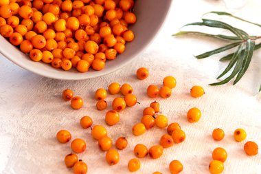 Açık gri arka planda gri bir kasede taze toplanmış deniz dikenli üzümler.