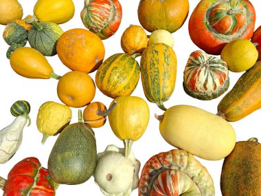 Beyaz renkte izole edilmiş kabak yığınları