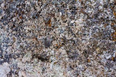 taş arkaplan ve gri doku