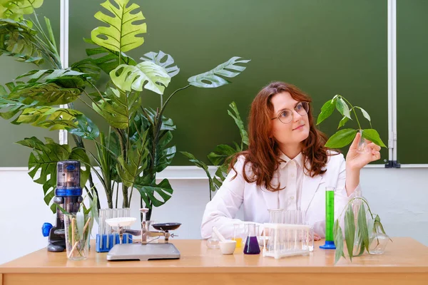 Happy woman ecology teacher in school class. Woman scientist with green plant in hand