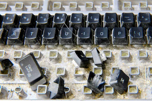 Disassembled keyboard with garbage inside prepared for cleaning